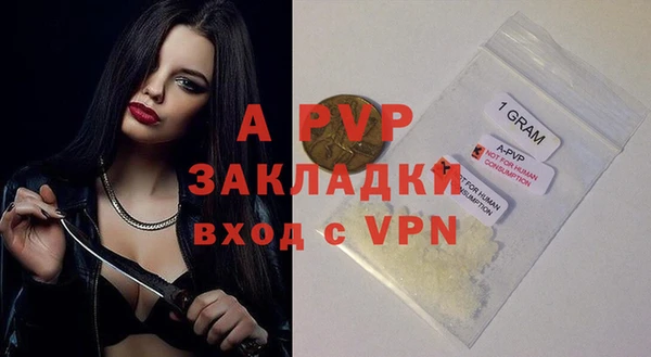PSILOCYBIN Баксан