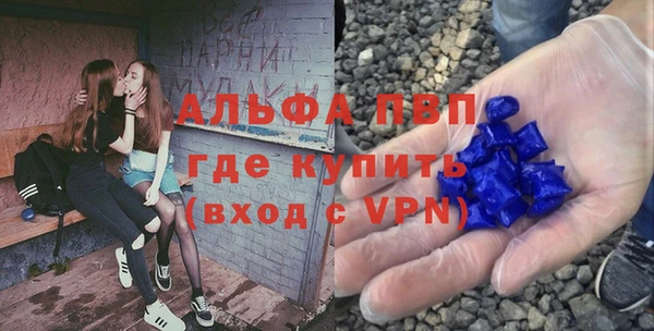 PSILOCYBIN Баксан