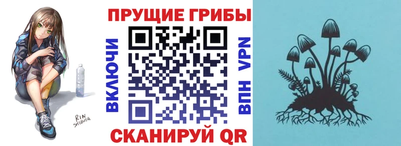 где купить наркотик  Закаменск  hydra зеркало  Галлюциногенные грибы Psilocybe 